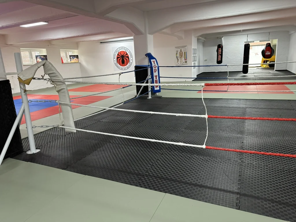 Innenansicht Trainingsstätte Dojo Aschersleben | Budo Fight Club Black Spider e. V. | BFCBS e. V.